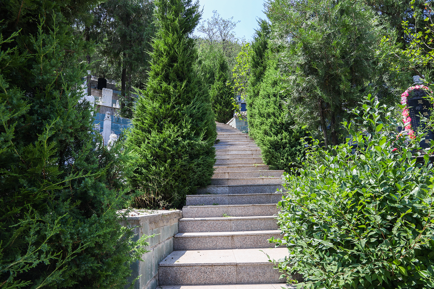 BD4A0118.jpg