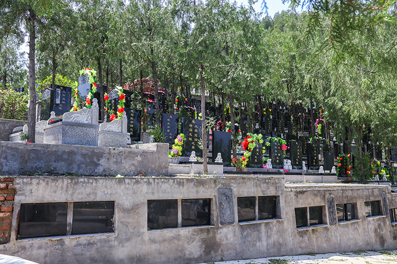 深度探秘九里山二区陵园：环境、风水与碑型亮点