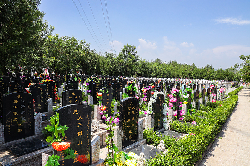 九里山二区陵园：自然与人文交织的安息净土
